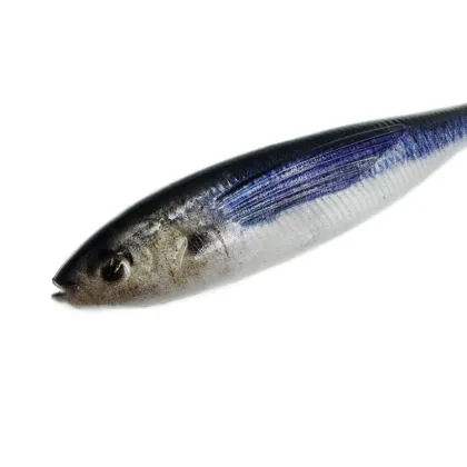 Soft Plastic Shad Lures - Fishing Tackle for Bass and More