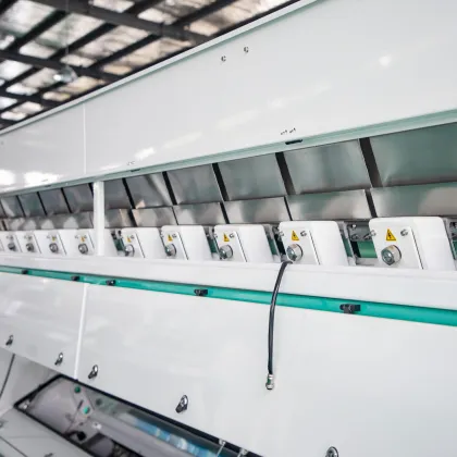 High Accuracy Areca Nut Sorting and Coloring Machine