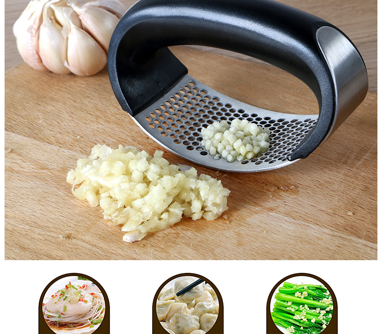 Stainless Steel Garlic Press