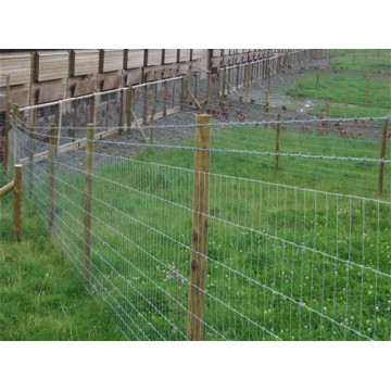 Grassland Fence Mesh Farm Fence