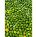 عطر لیمو یوننان معطر برای پذیرایی هتل