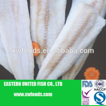 frozen blue whiting fish