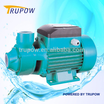 Horizontal Household 550W Cast Iron Salt Water Pump