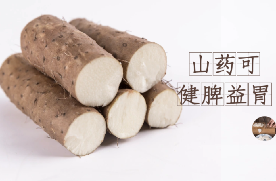 Dioscorea Extract Powder