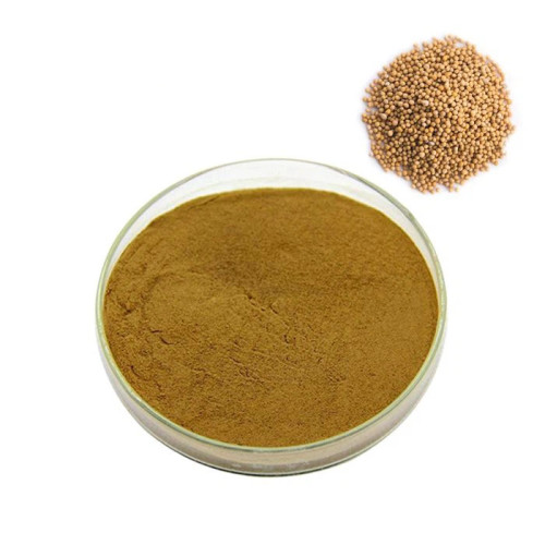 Health Food Mustard Seed Extract