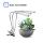 Desk Plants For Office PLants LED Grow Lamp