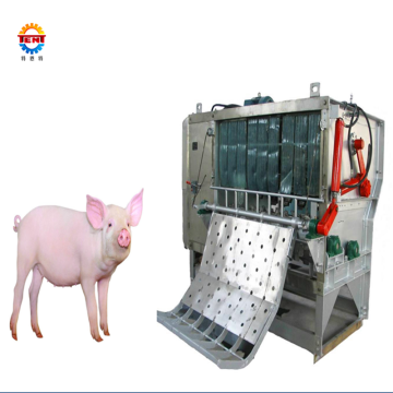 Pig Carcass Dehairing and Scalding Machine for Sale