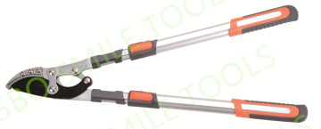 Garden pruning fruit tree branches scissors gardening tools
