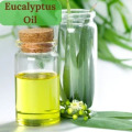 Eucalyptus Organic Essential Oil 80% 70% 60%