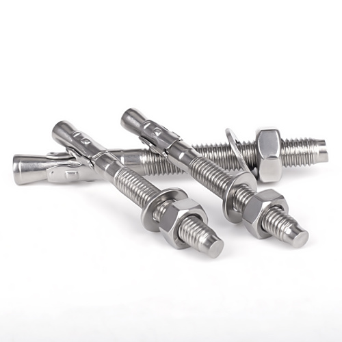 Stainless Steel Metric Screw Type Wedge Anchor Bolts