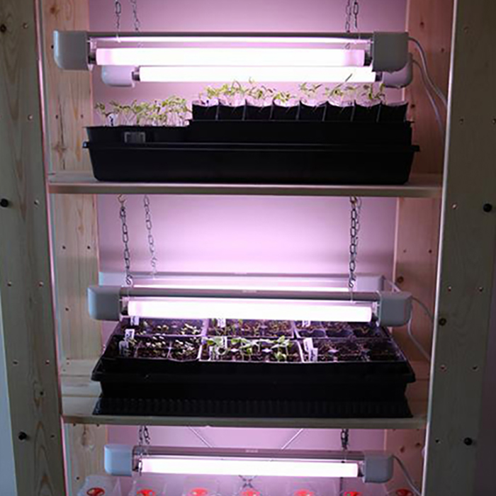 LED Fluorescent Growth Lighting for Hydropnics