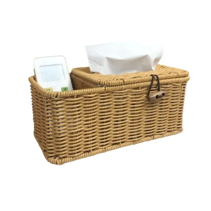 PP Plastic Double-Compartment Tissue Box - Simple Home Storage Solution