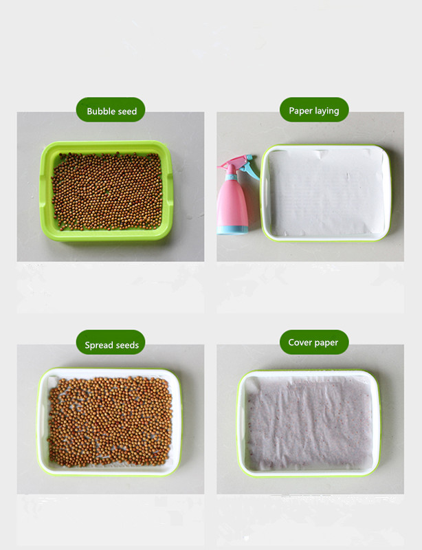 seedling tray