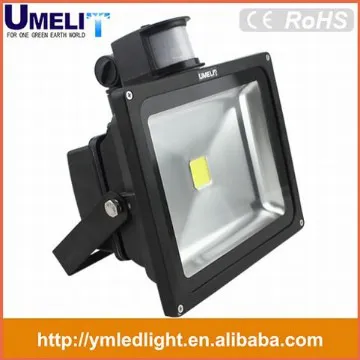 Wholesales 100W High Power strong Luminous LED FloodlightLike