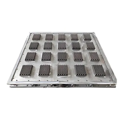 Customized blood collection tube tray mold