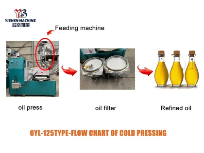 Hydraulic Press Oil Press Machine Vegetable Oil Press  Machine