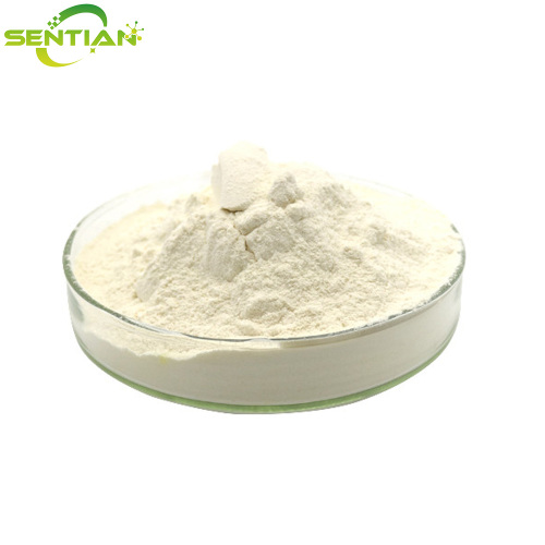 High-Quality Yam Extract Powder