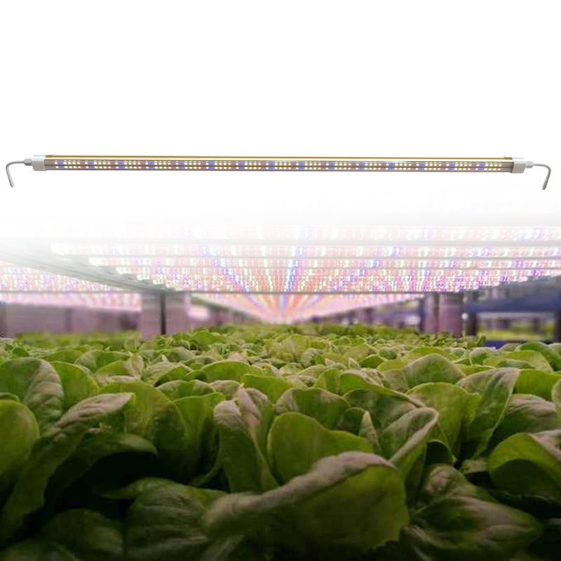 In what environments can LED grow lights be used?