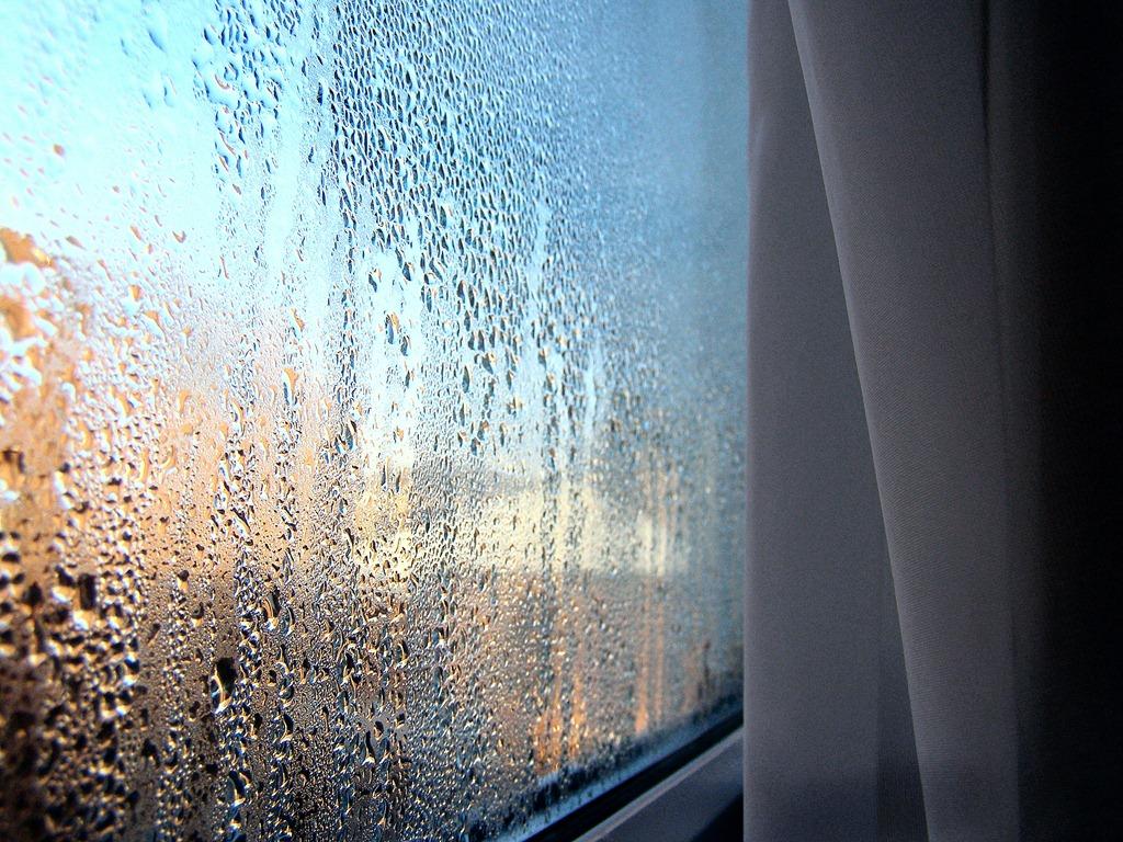 windows-5 windows-5
