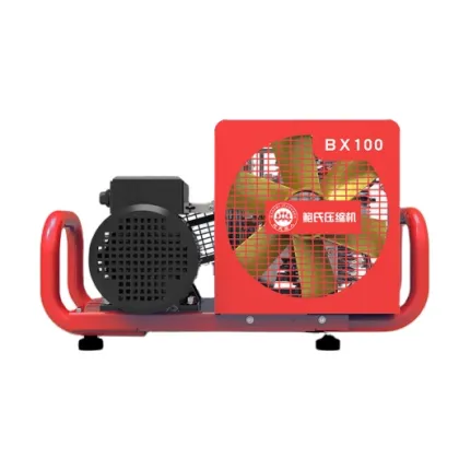 Bauer 100L/MIN Air Compressors with Activated Carbon Molecular Sieve Filter - 300Bar for Sales