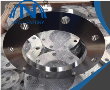 BS2393 flange forged flange