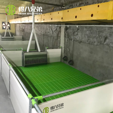 Certified Pig Farming Equipment