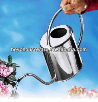 stainless steel plastic mini watering can