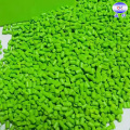 Masterbatch colorido de longa duração em verde grama 415