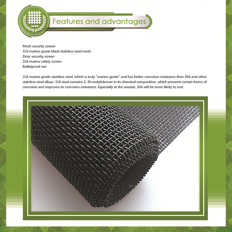 powder coated stainless steel 316 security mesh