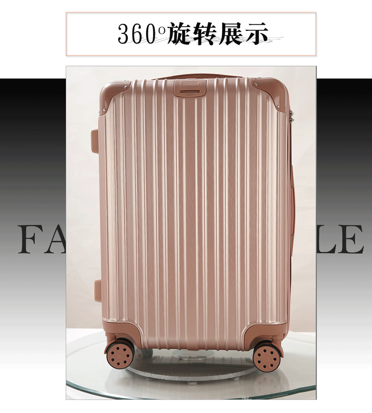 ABS Zip Luggage