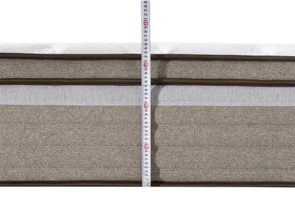 Euro Top Natural Latex Sleepwell Bed Mattress Price For Sale Online