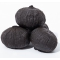 /msite/products/detail/productid/63232262/id/1520232.html