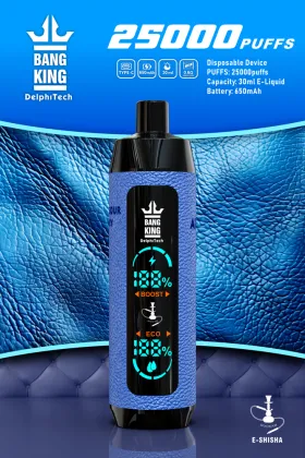 Bang king Shisha 25000 puffs vape Richer Taste