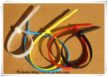 Self-Locking Plastic Cable Ties with CE RoHS UL Certificate