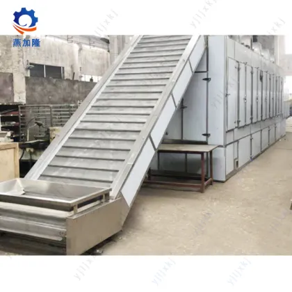 Vegetables eg Radish Belt Dryer