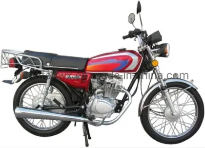 Adult Gas Motorcycles and Moto Scooters