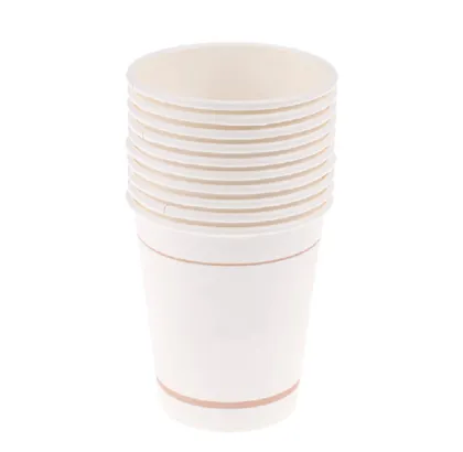 Wholesale Biodegradable Portable Eco Friendly Sugarcane Cups