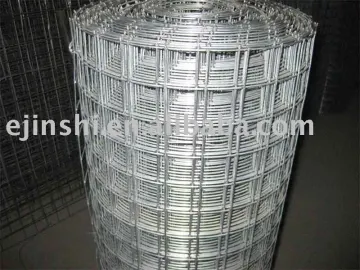 Welded Wire Mesh 20 years factory