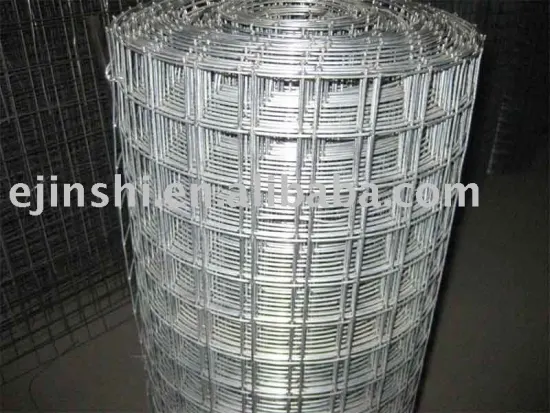 Welded Wire Mesh 20 years factory