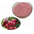 Price fruit Extract Pure Wild Cherry Extract Powder