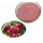 Price fruit Extract Pure Wild Cherry Extract Powder