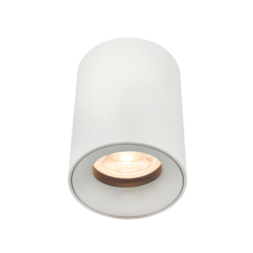 Modern Outdoor Round Surface Mounted Downlight