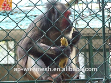 Alibaba express stainless steel chain link fence, 6ft chain link fence, used chain link fence post