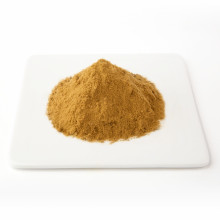High quality hops extract Xanthohumol 5% powder