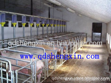 Pig Equipment The Piglets Conservation Bar , High Quality Pig Equipment ...