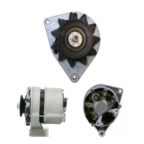 Bosch series Alternator Catalogue 12V 33A CARRARO