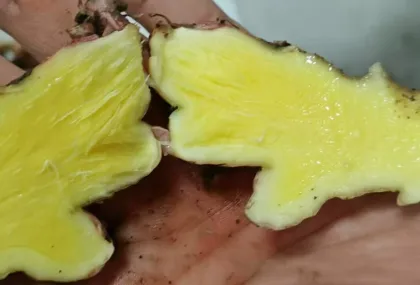 Authentic Pure Ginger Juice from Yunnan Highlands
