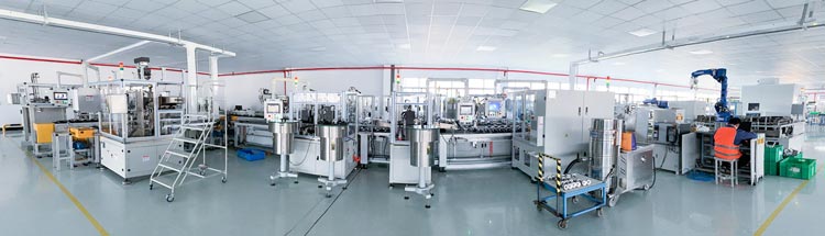 Auto BLDC motor production line