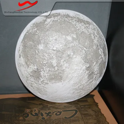 Battery rechargeble bionic kids moon night light