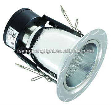 Vertical downlight, YP250D 2.5 inch, silver